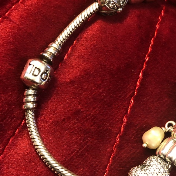 10 piece Charm Pandora Bracelet - Picture 3 of 4